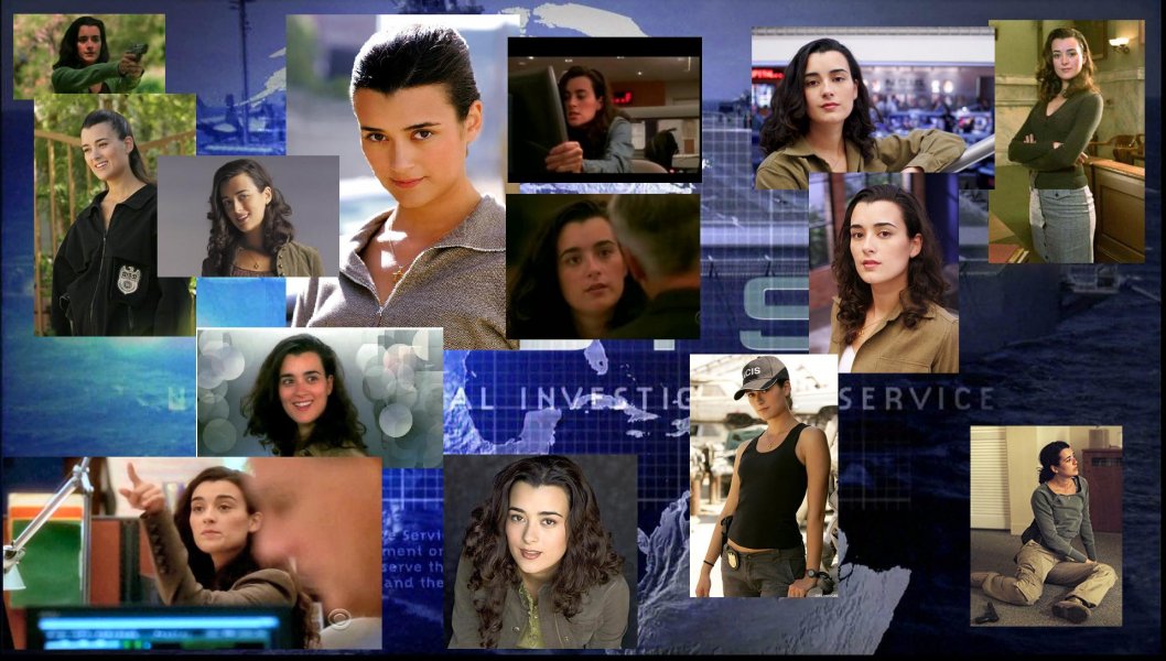 NCIS_Ziva[1].jpg